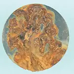 sus420j2試験後の外観