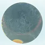 sus630試験後の外観