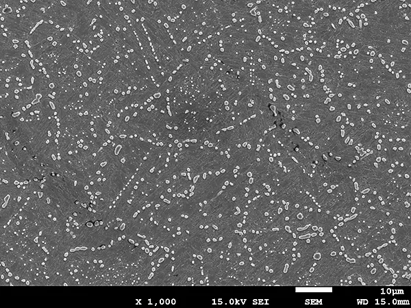 代替テキストを入力する