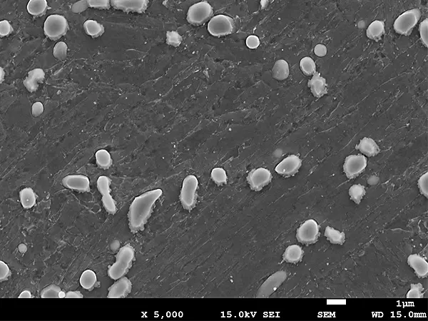 AXSIA-Zero3（5000倍）