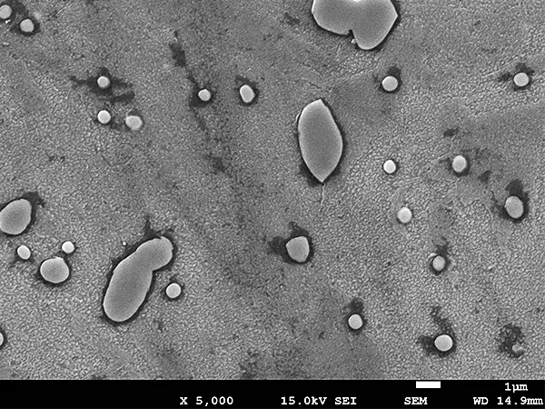 Silicolloy XVI（従来鋼、5000倍）