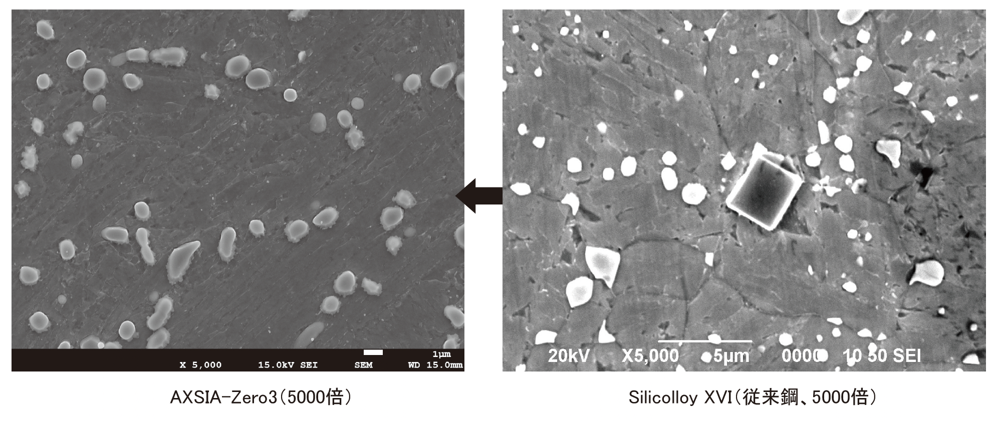 Silicolloy XVI(従来鋼、5000倍)