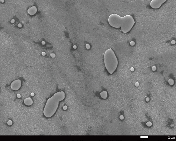 従来材 Silicolloy XVI